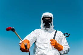 Best Bed Bug Extermination  in Lakeland Village, CA